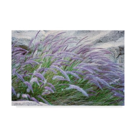 Janice Sullivan 'Purple Wild Grass Ii' Canvas Art,30x47